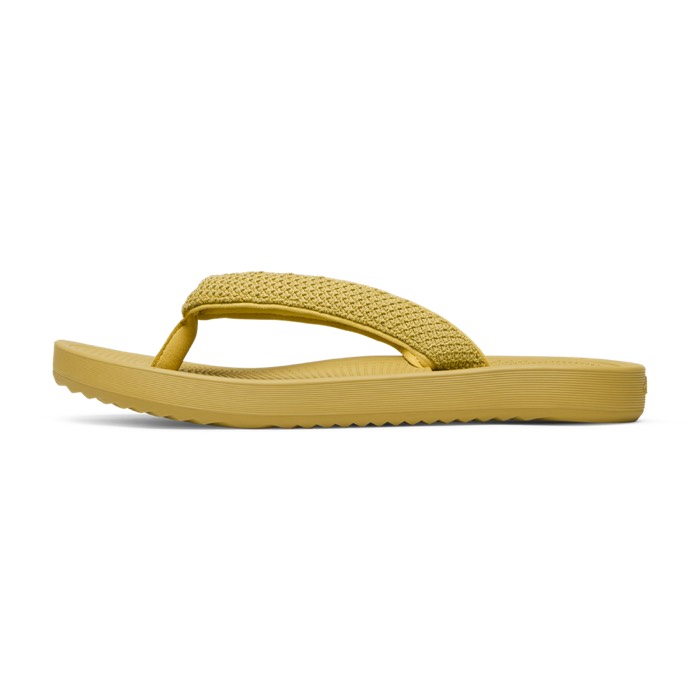 Flip Flop